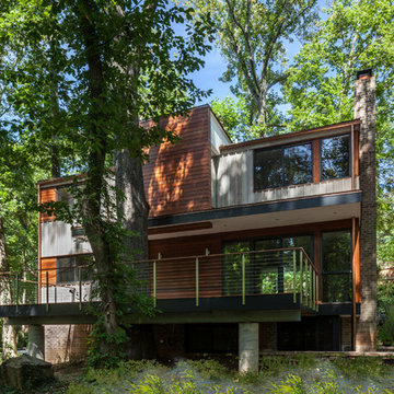 treehouse