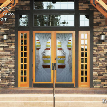 Tritpic 3D Glass Front Doors - Exterior Glass Doors - Glass Entry Doors