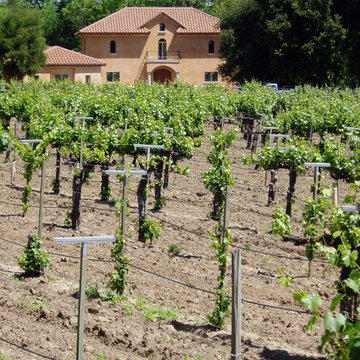 Tuscan Modern
