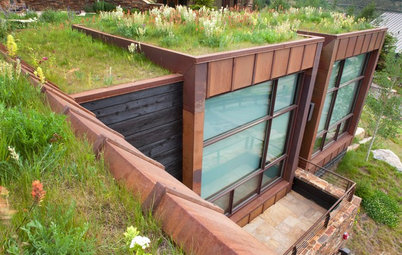 6 Green-Roof Myths, Busted