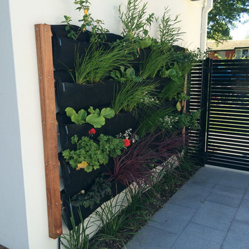 Vertical Garden