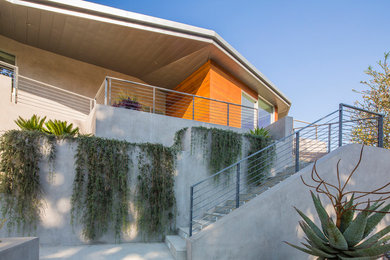 Example of a minimalist gray one-story wood house exterior design in Los Angeles with a metal roof