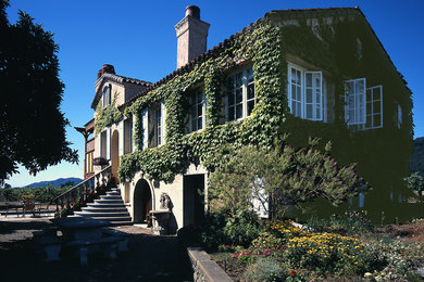 Diseño de fachada de casa multicolor tradicional de tamaño medio de dos plantas con tejado a dos aguas