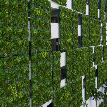 VistaFolia Luxury Condo Green Walls
