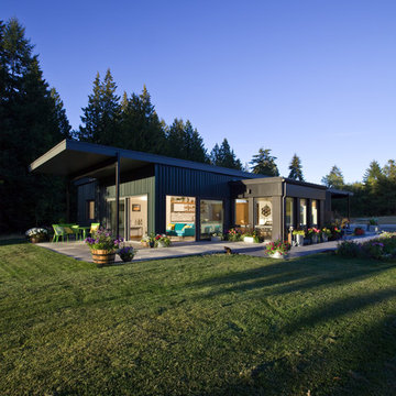 Vogel Haus