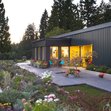 Vogel Haus