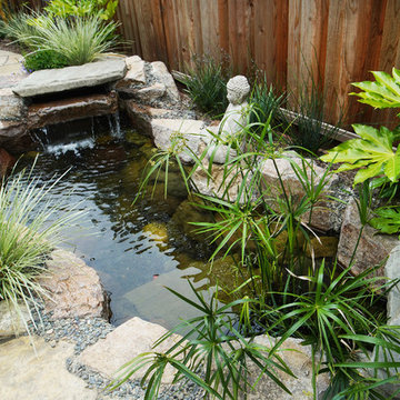 Water features