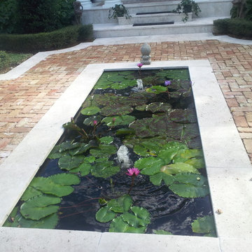 Waterlilly Pond
