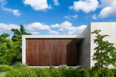 Modelo de fachada de casa retro de una planta con revestimientos combinados y tejado plano