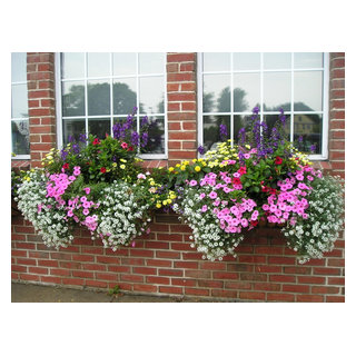 Window Boxes/ Container Gardens - Classique - Façade - Boston - par ...