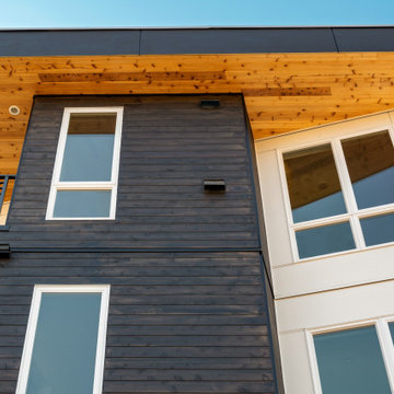 Windows blend form with function