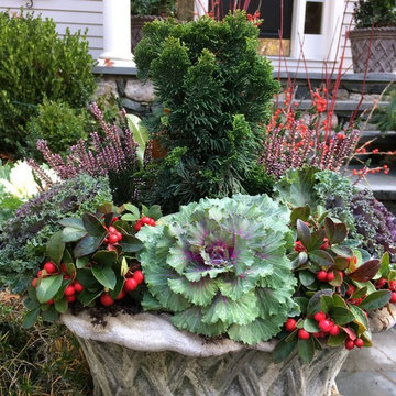 Winter Containers for Classic Colonial Landscapes