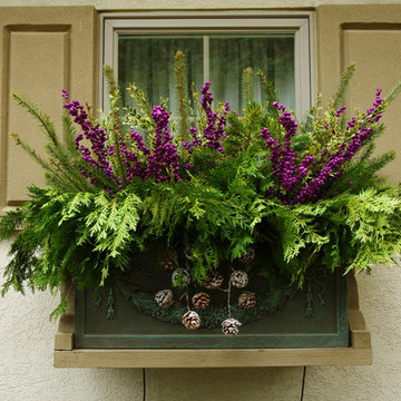 Winter Containers