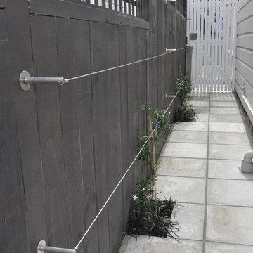 Wires on fence for espaliered jasmine.