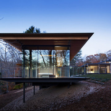 Wood and Glass House