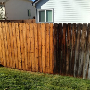 Wood Fence Renew - Pressure Washed