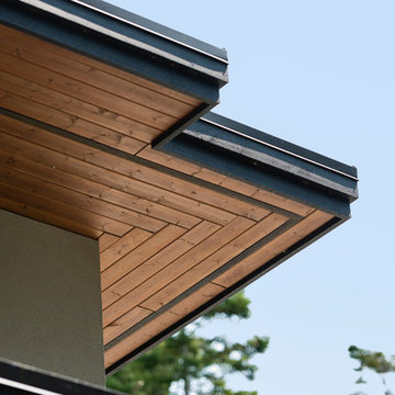 Wood Soffit Detail