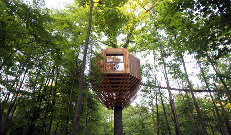 Houzz Франция: Дом на дереве с полноценным санузлом (!)