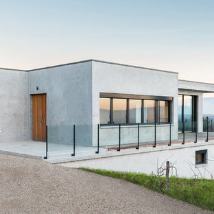 Réalisation d'une façade de maison grise minimaliste de taille moyenne avec un toit plat.