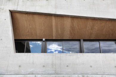 Idées déco pour une façade de maison contemporaine.