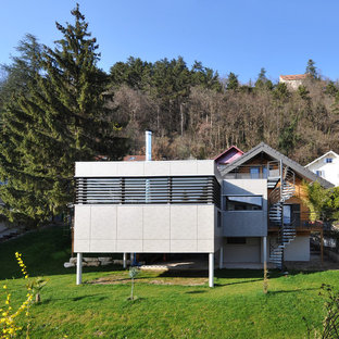 Cette image montre une grand façade en béton grise design à un étage avec un toit plat.