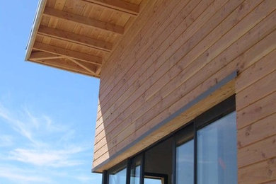 Modelo de fachada contemporánea de tamaño medio de una planta con revestimiento de madera y tejado de un solo tendido