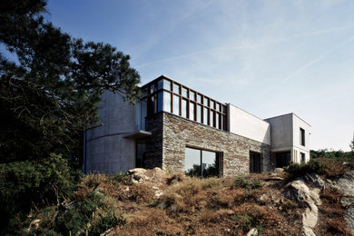 Idées déco pour une grande façade de maison contemporaine en pierre à un étage avec un toit plat.