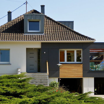 Meyer