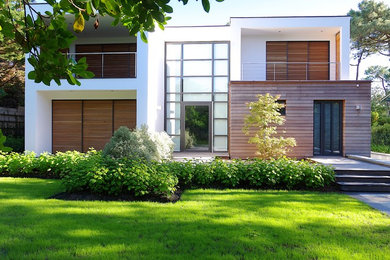 Modelo de fachada blanca contemporánea de dos plantas con tejado plano y revestimientos combinados