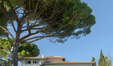 Visite Privée : Une villa entre esprit provençal et modernité