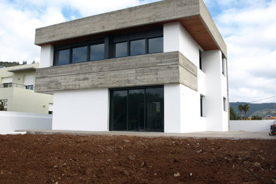 Modelo de fachada blanca actual de tamaño medio de dos plantas con revestimientos combinados y tejado plano