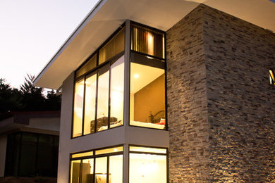 Idee per la casa con tetto a falda unica grigio contemporaneo a due piani di medie dimensioni con rivestimento in pietra