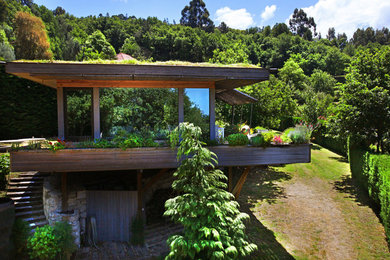 Imagen de fachada de casa marrón tropical pequeña de una planta con revestimiento de madera, tejado plano y techo verde