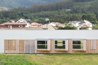 Diseño de fachada minimalista de tamaño medio de una planta con revestimiento de madera y tejado de un solo tendido