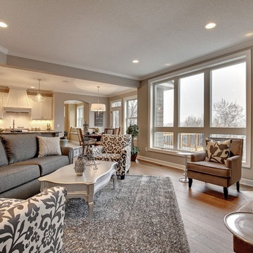 2015 Parade of Homes - Argenta Hills - Inver Grove Heights