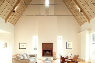 Modelo de sala de estar contemporánea con suelo de madera clara, todas las chimeneas y marco de chimenea de metal