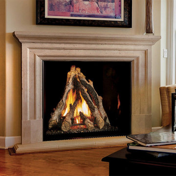 4237 TV Deluxe Gas Fireplace