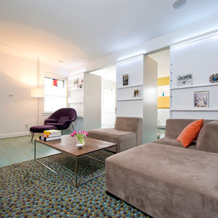 Modernes Wohnzimmer mit weißer Wandfarbe, gebeiztem Holzboden und türkisem Boden in Washington, D.C.