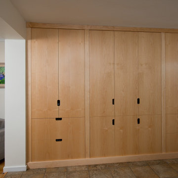 Custom storage cabinets for the family room