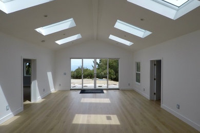 Living/family room with skylights