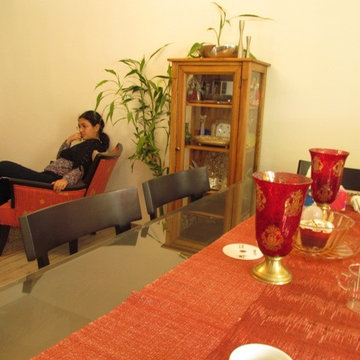 Ali Sanjabi - Family room