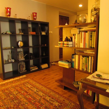 Ali Sanjabi - Family room
