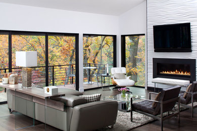 Inspiration for a contemporary family room remodel in Baltimore
