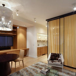 https://www.houzz.com/photos/axis-mundi-contemporary-family-room-new-york-phvw-vp~774343