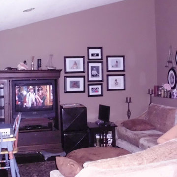 Before photo of Family room in Wayzata MN