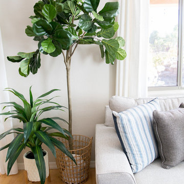 Coastal Boho