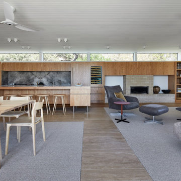 Contemporary mid century modern family room