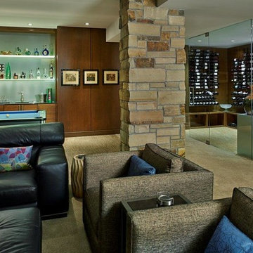 Contemporary Mpdern Basement and Wine Room