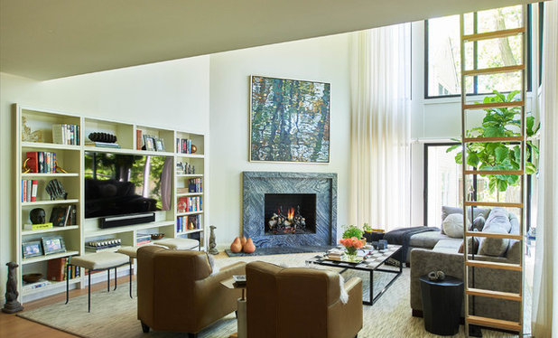 Contemporary Living Room by Lorraine Levinson Interior Design