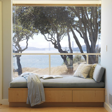 Eco-friendly Modern in Tiburon